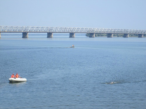 заплив