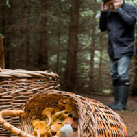 заблукав у лісі